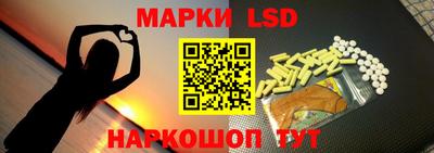 прущие грибы Усть-Илимск